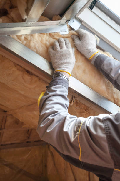 Best Attic Insulation Installation  in Chittenango, NY